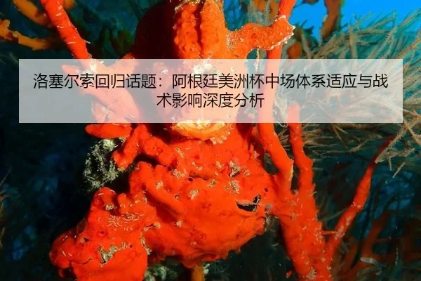luo-sai-er-suo-hui-gui-hua-ti-a-gen-ting-mei-zhou-bei-zhong-chang-ti-xi-shi-ying-yu-zhan-shu-ying-xiang-shen-du-fen-xi-2-236.jpg